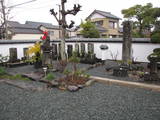 駿河 横内陣屋の写真