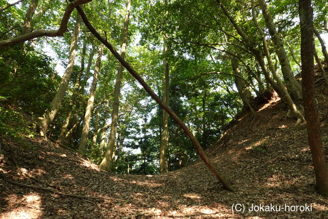 但馬 鯵山城の写真