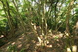 但馬 鯵山城の写真
