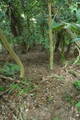 但馬 鯵山城の写真