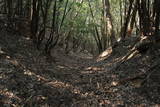 但馬 有子山城の写真