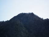 但馬 朝倉向山城の写真
