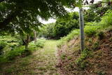 但馬 芦屋城の写真