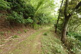 但馬 芦屋城の写真