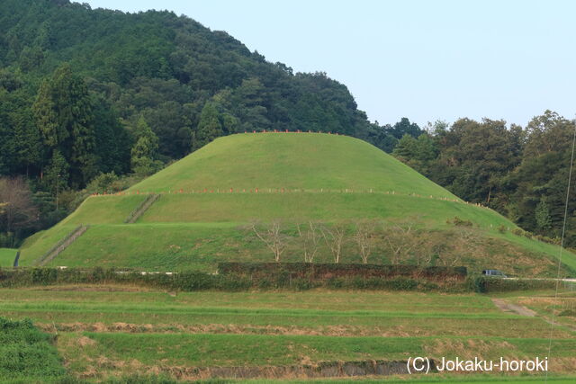 但馬 茶すり山城の写真