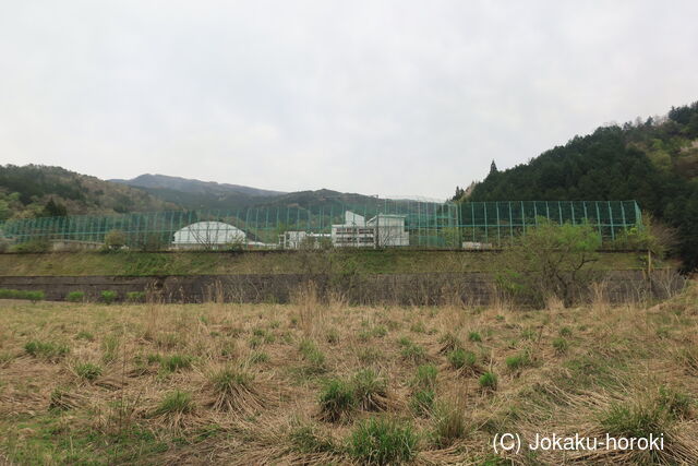 但馬 福西城の写真