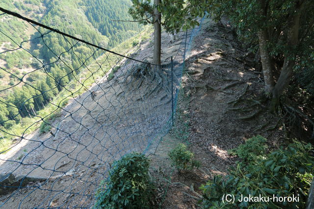 但馬 権現山城の写真