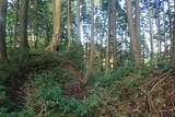 但馬 法道寺城の写真