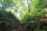 但馬 法道寺城の写真