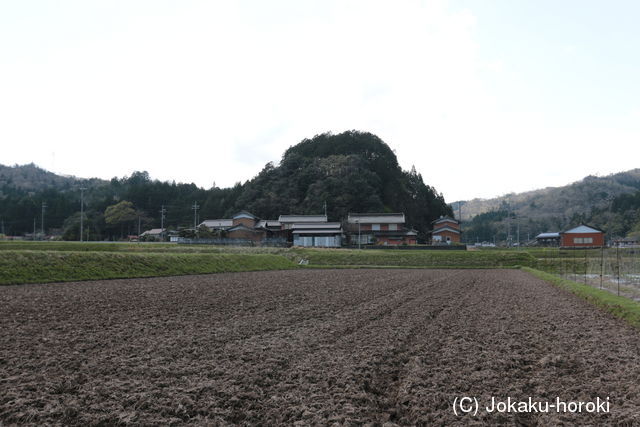 但馬 細見丸山城の写真