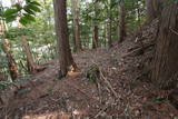 但馬 細見丸山城の写真