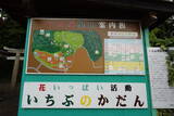 但馬 一部城の写真