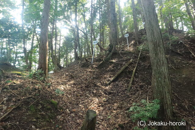 但馬 石禾城(南城)の写真