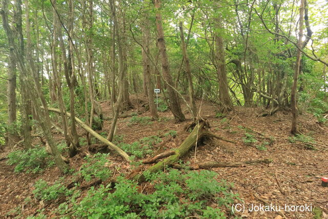 但馬 石禾城(北城)の写真