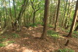 但馬 石禾城(北城)の写真