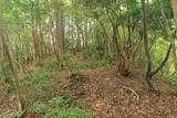 但馬 石禾城(北城)の写真