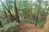 但馬 石禾城(北城)の写真