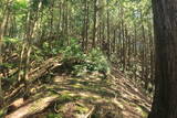 但馬 石禾城(北城)の写真