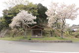 但馬 石屋城の写真