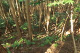 但馬 磯部氏館の写真