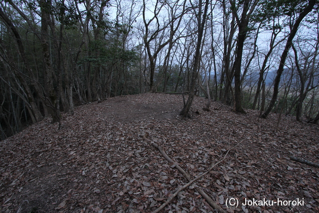 但馬 福居城の写真