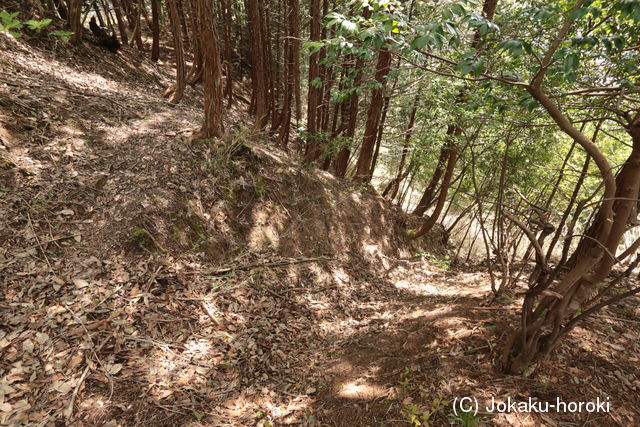 但馬 片岡城の写真