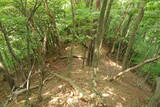 但馬 切畑城の写真