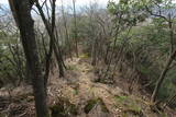 但馬 此隅山城の写真