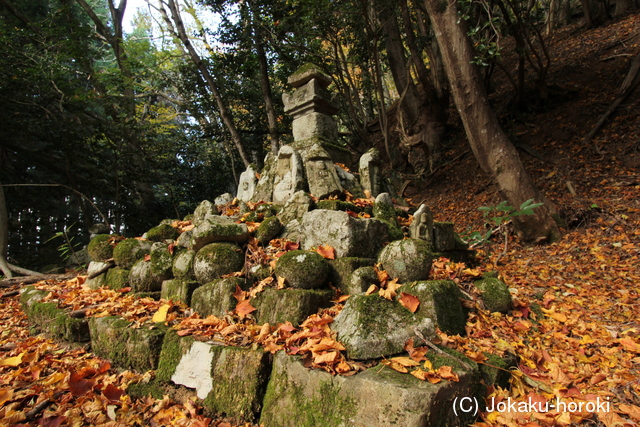 但馬 金蔵寺城の写真