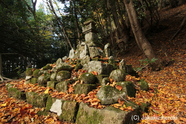 但馬 金蔵寺城の写真