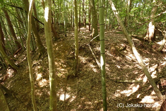 但馬 小谷城の写真