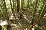但馬 小谷城の写真