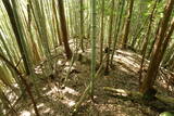 但馬 小谷城の写真
