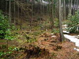 但馬 三開山城の写真