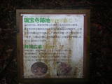 但馬 三開山城の写真