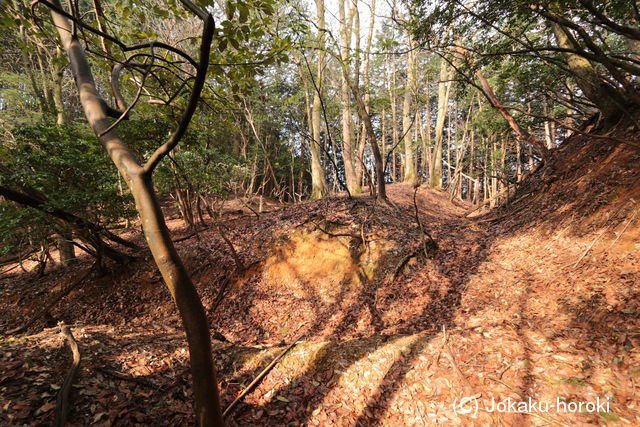 但馬 森山城の写真