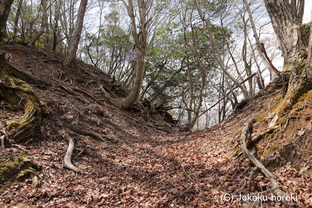 但馬 中藤八幡城の写真