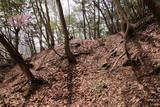 但馬 中藤八幡城の写真