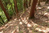 但馬 多子城の写真