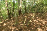 但馬 岡比丘尼城の写真