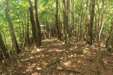 但馬 岡比丘尼城の写真