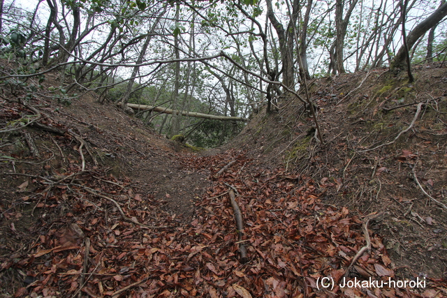 但馬 奥野城(西城)の写真