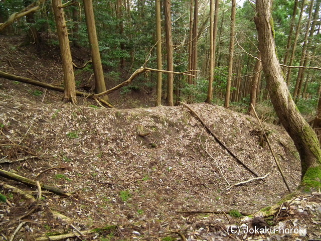 但馬 楽々前城の写真