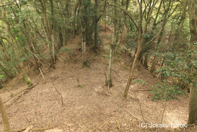 但馬 志馬比城の写真