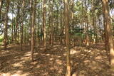 但馬 志馬比城の写真