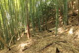 但馬 志馬比城の写真