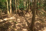 但馬 志馬比城の写真