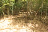 但馬 志馬比城の写真