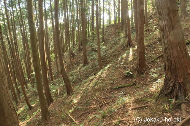 但馬 新堂向山城の写真