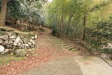 但馬 相応峰寺城の写真